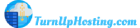 TurnUpHosting Logo